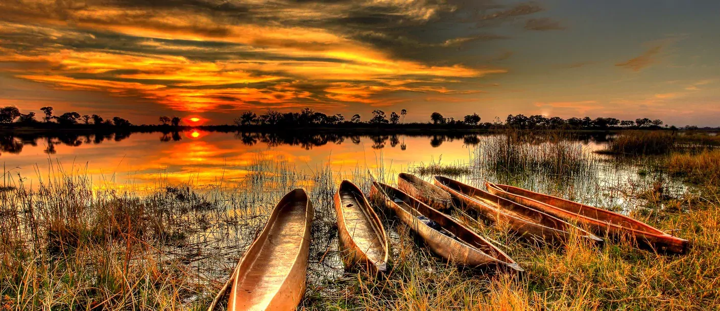 Okavango Delta groot 03092025 001.webp