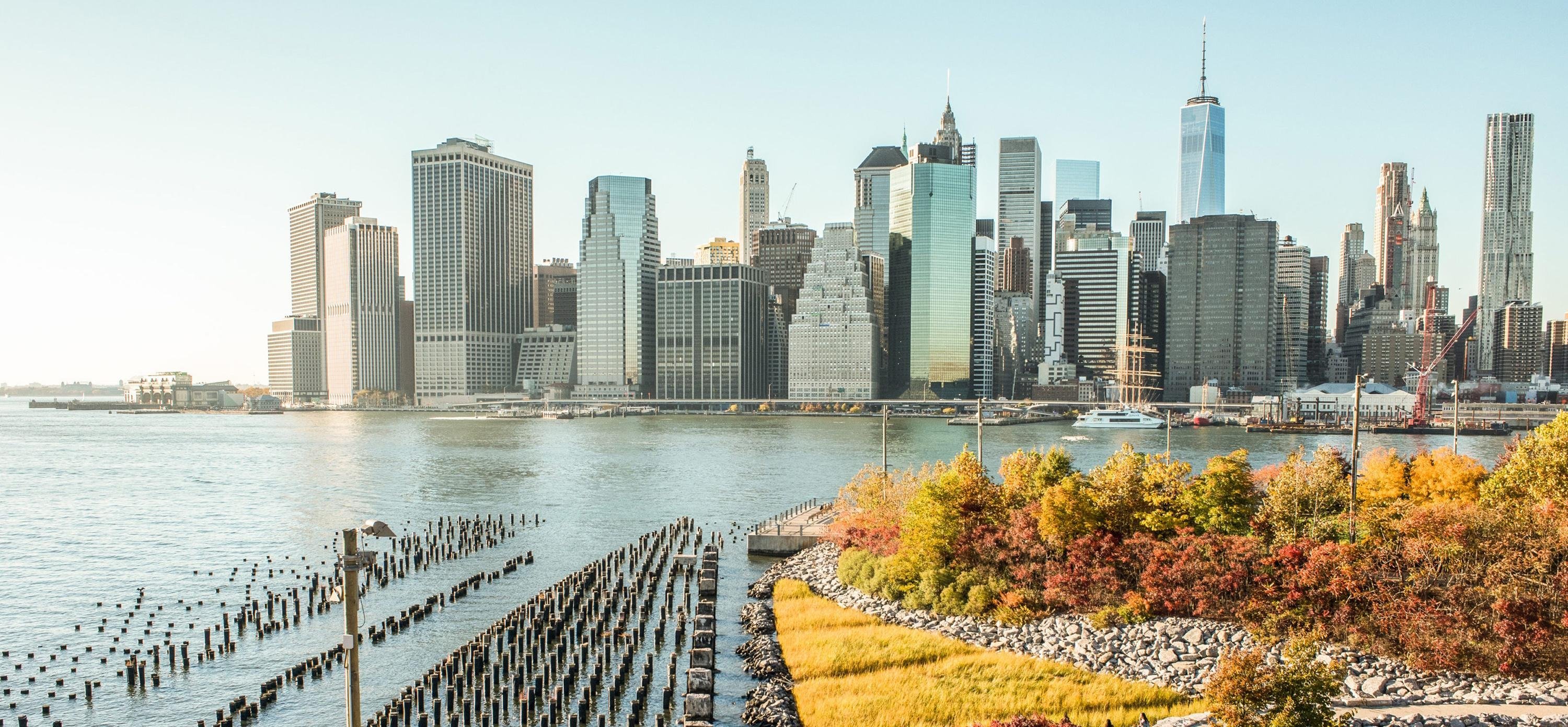 Brooklyn Bridge Park 1410x610
