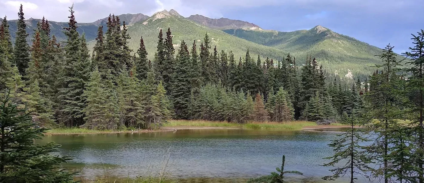 Alaska sfeerfoto 002.webp