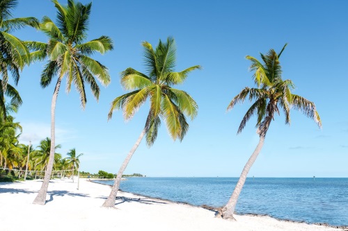 parrot key hotel and villas strand 2.jpg
