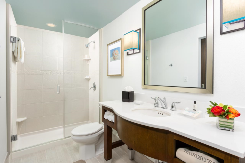 hilton garden inn key west badkamer.png