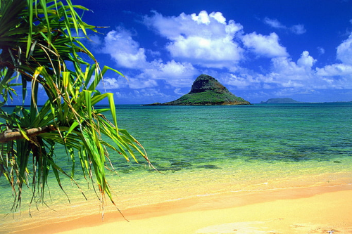 hawaii 001.png