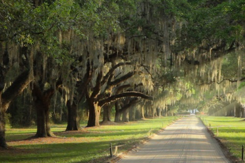 boone hall plantation 002.png