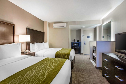 comfort inn suites san diego zoo seaworld area kamer.png