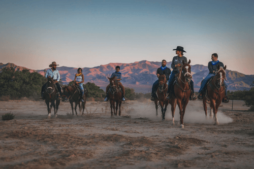 cowboy trail in de avond.png