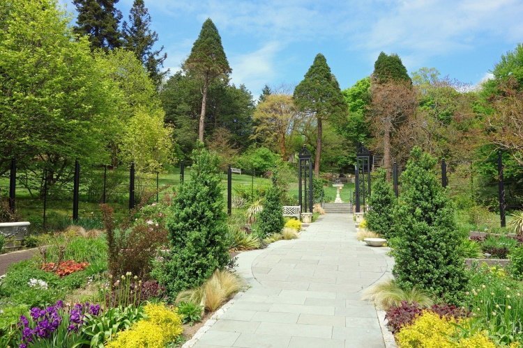 Klik op de afbeelding voor een vergroting philadelphia morris-arboretum-174967_1280.jpg
