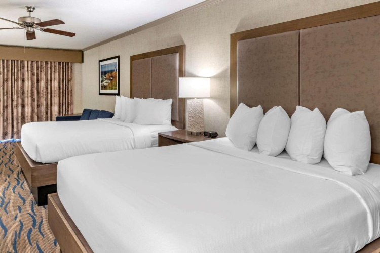 elizabeth oceanfront suites kamer met 2 bedden.jpg