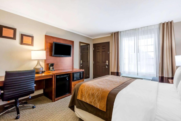 comfort inn santa monica kamer 1 bed.jpg