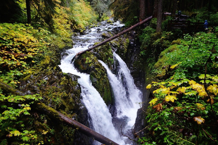 olympic national park sol-duc-falls-4758878_1280.jpg