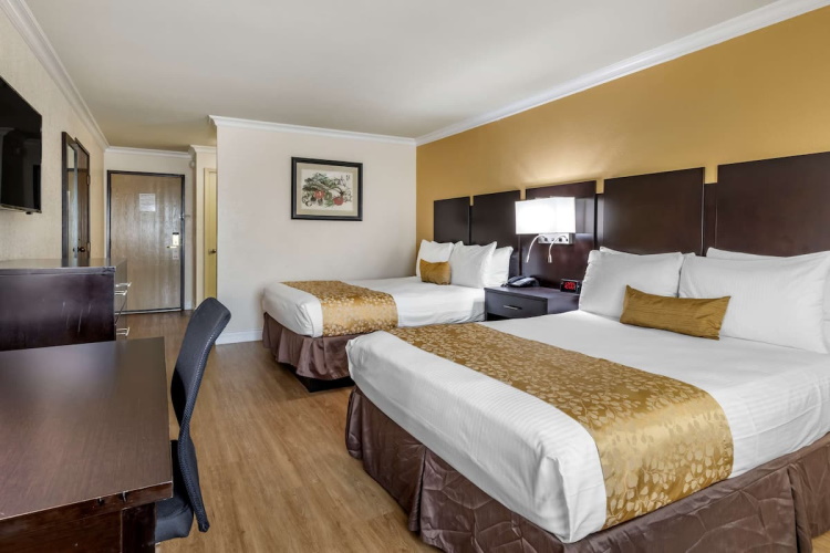 best western plus south bay kamer 2 bedden.jpg