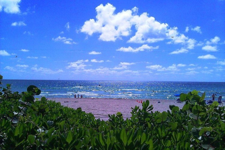 holiday inn miami beach-oceanfront strand 003.jpg