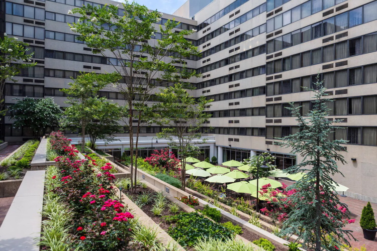 holiday inn capitol tuin.jpg