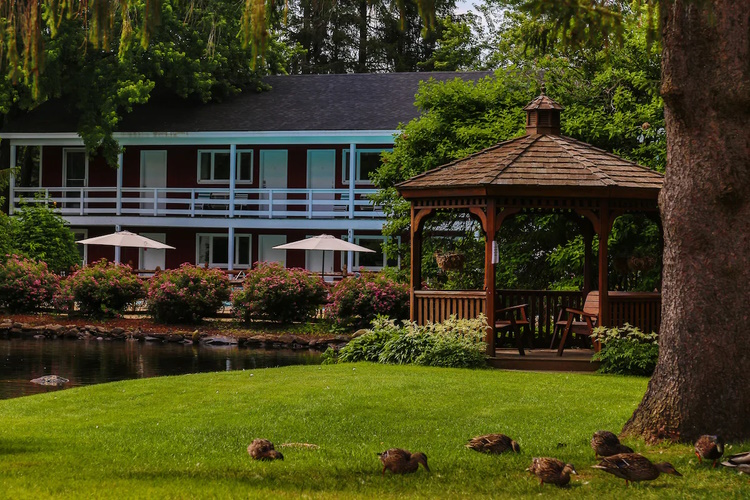 woodwards white mountain resort tuin.jpg