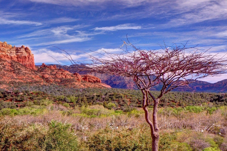 sedona 001.jpg