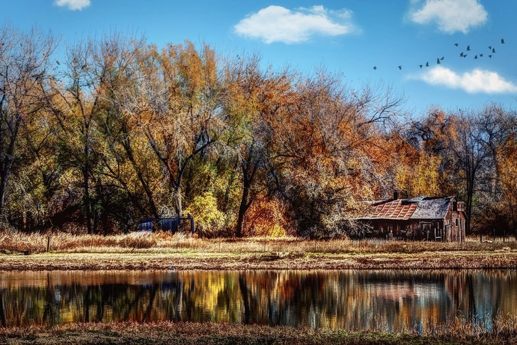 fort collins.webp