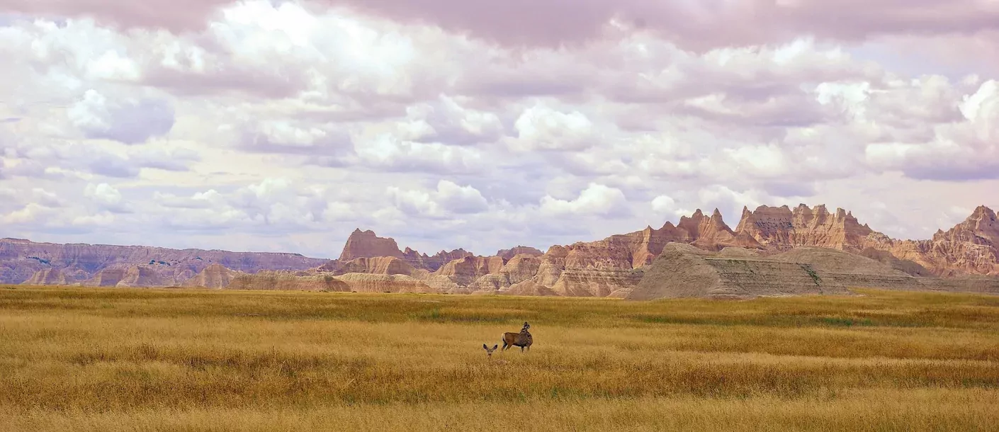 badlands national park.webp