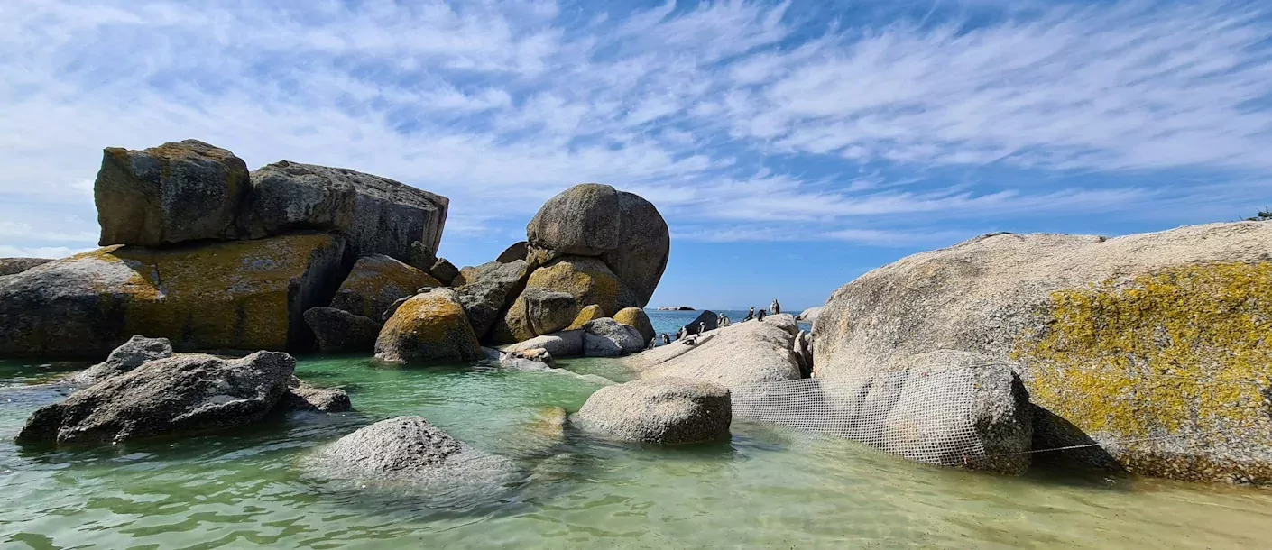 simonstown (2).webp