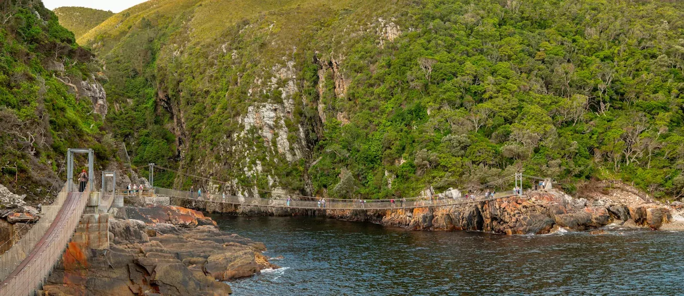tsitsikamma - suspension bridge.webp