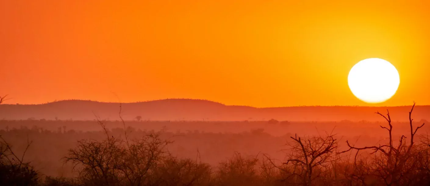 krugerpark (3).webp