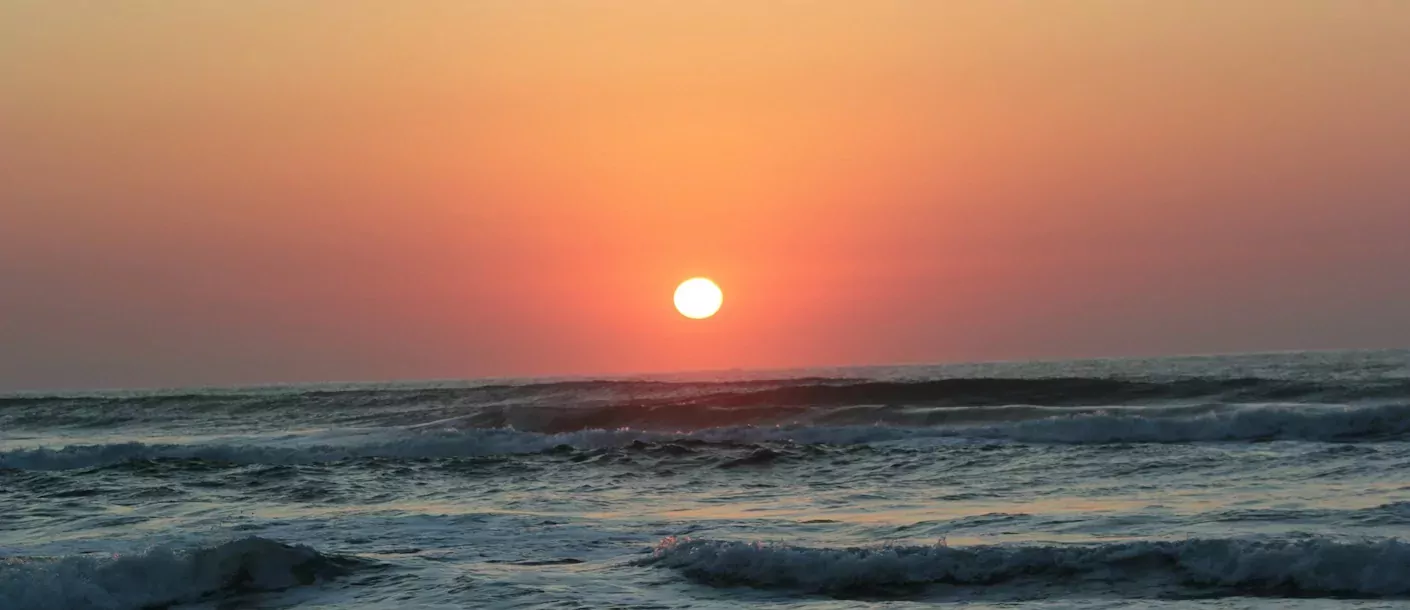 chintsa east.webp