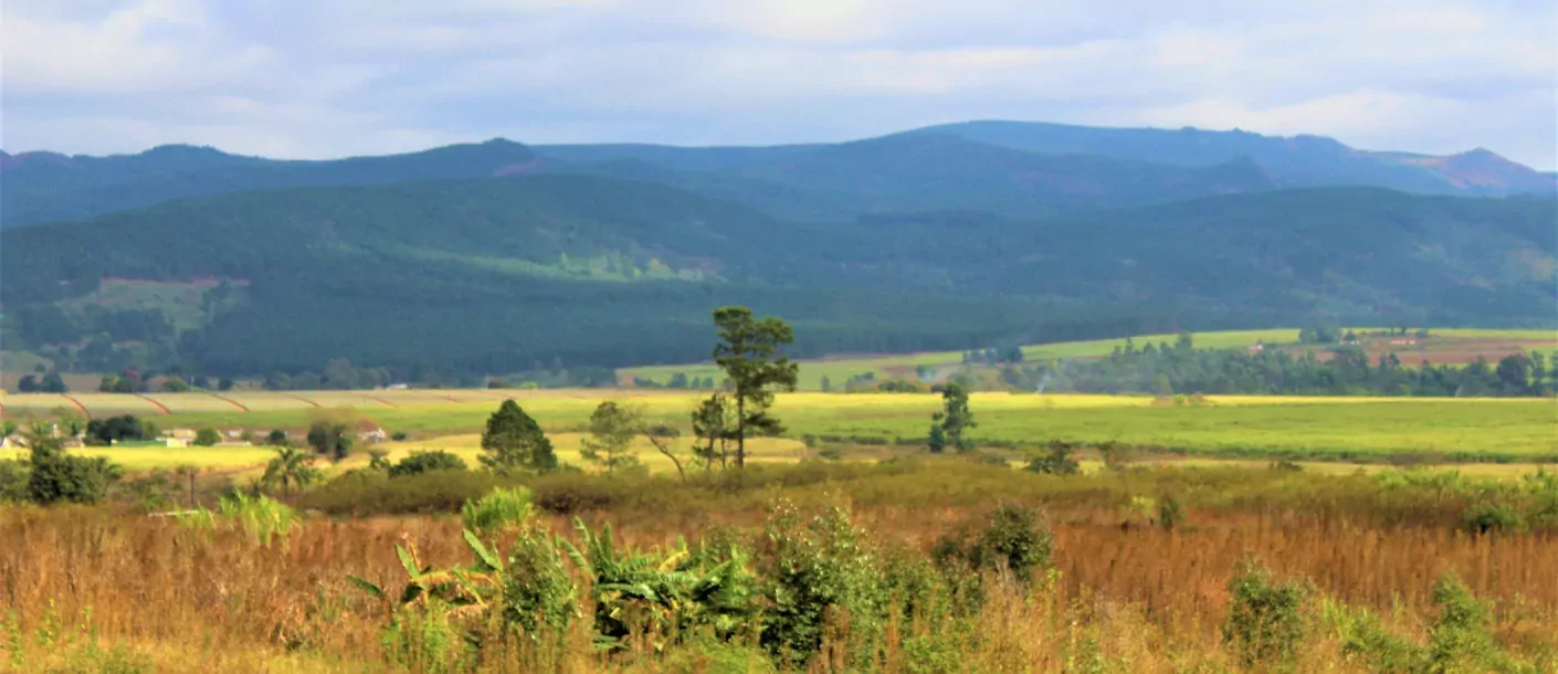 swaziland.webp
