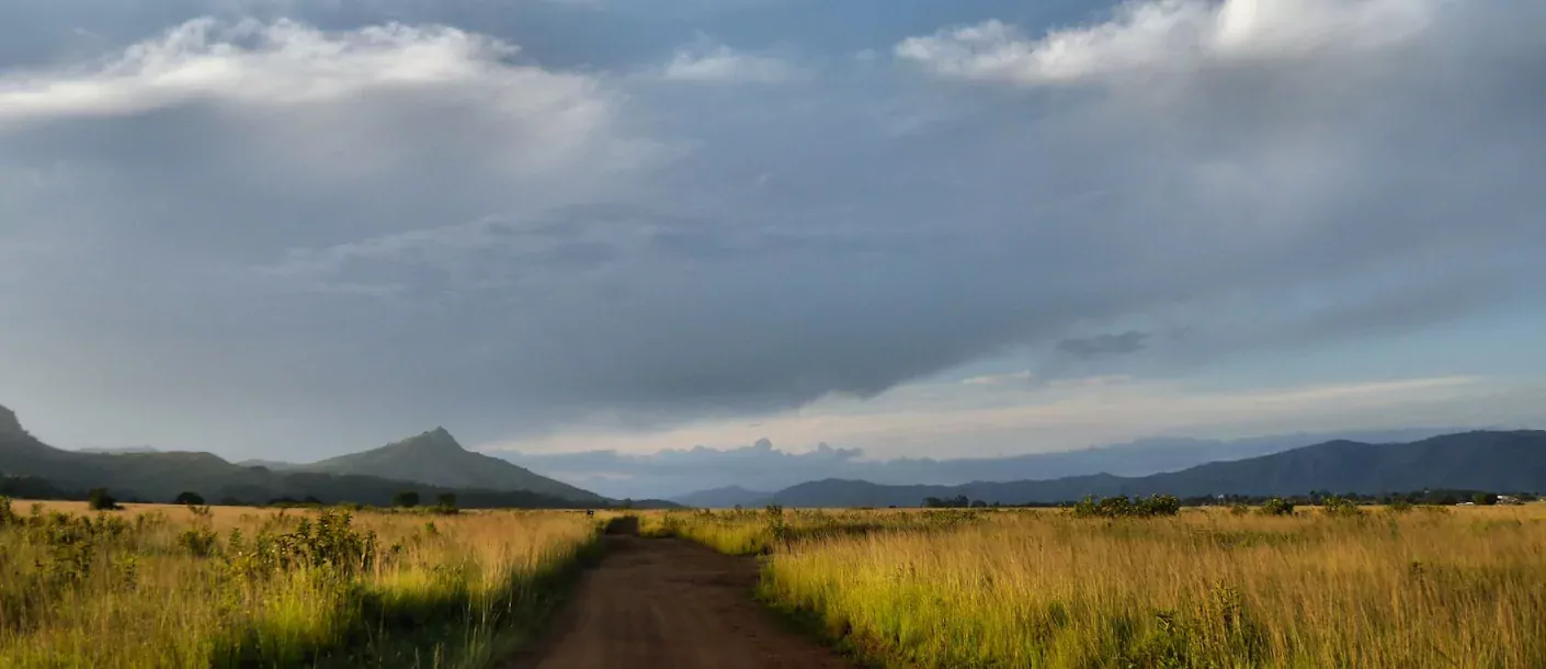 swaziland (3).webp