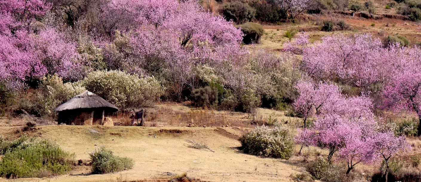 lesotho 3.webp