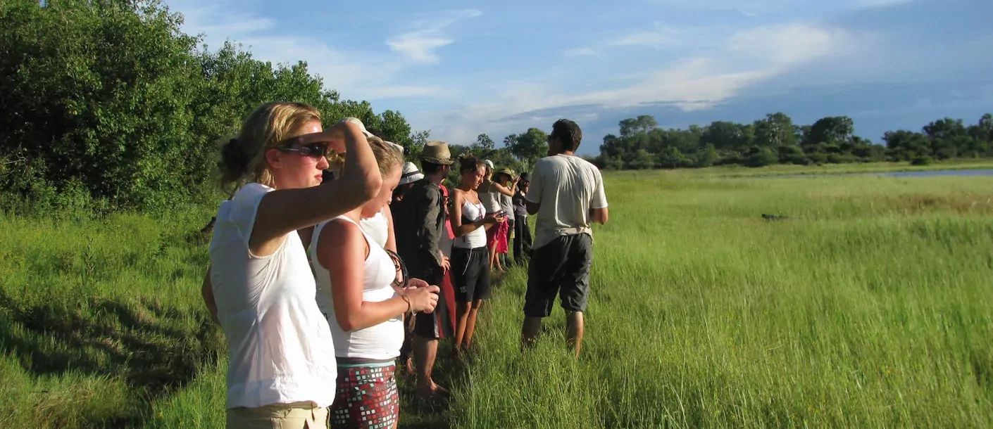 okavango delta  - walk.webp