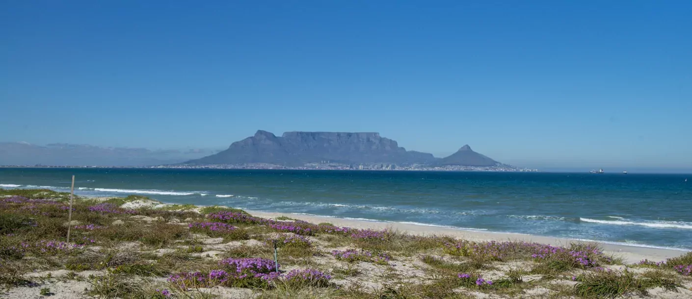 cape town.webp