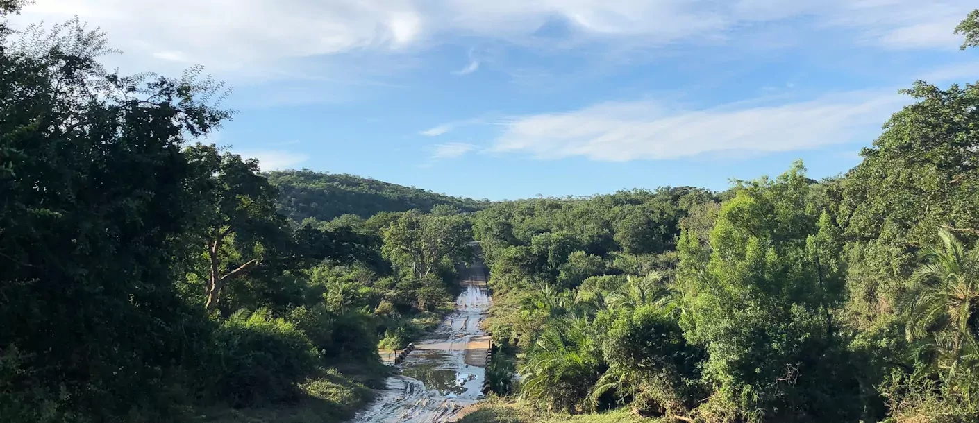 zuid afrika south africa hluhluwe.webp
