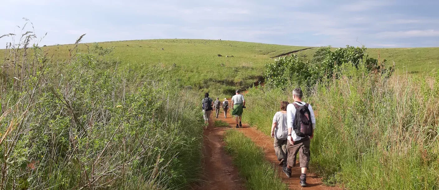 south africa wandeltocht zuid afrika.webp