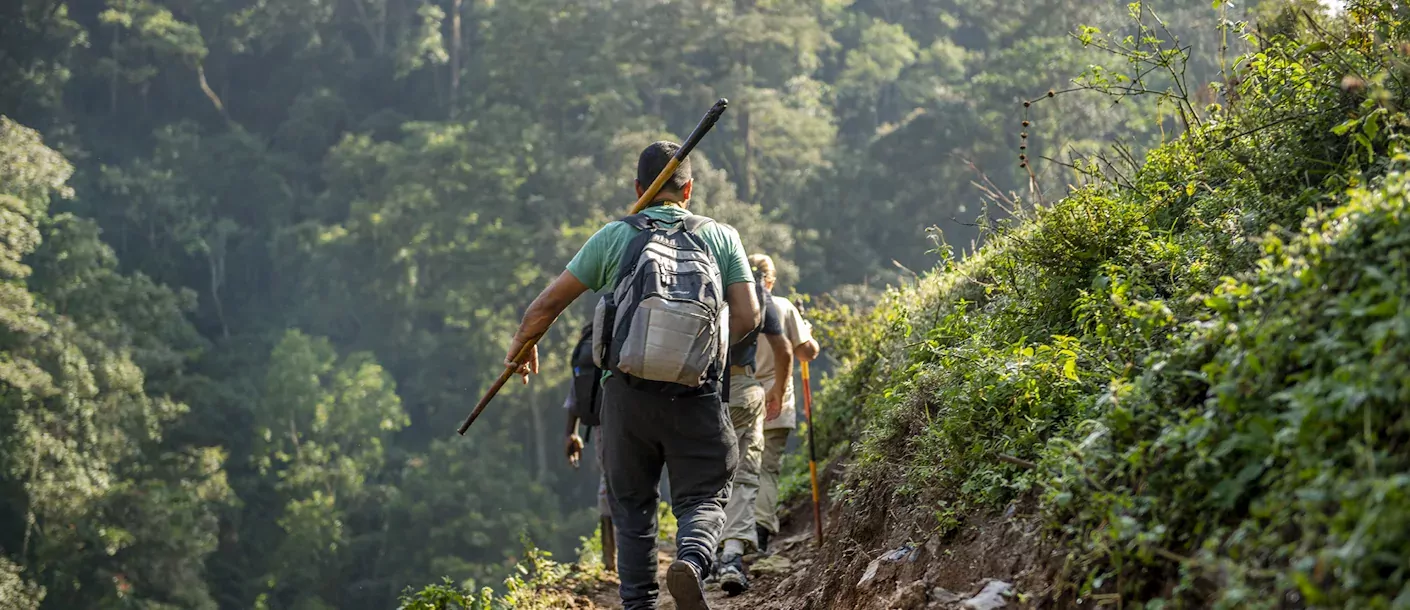 gorilla trekking (1).webp