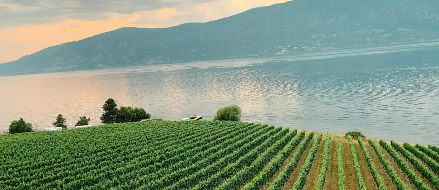 okanagan valley.webp