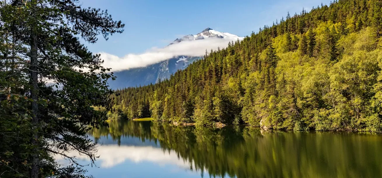 lower dewey lake, skagway, united states.webp