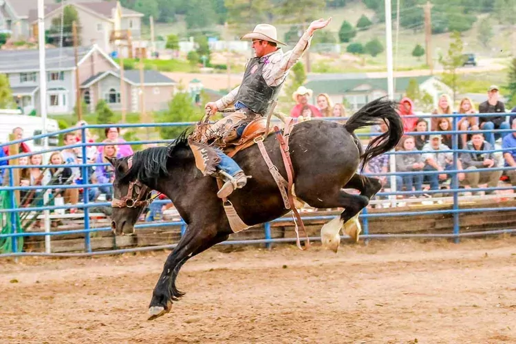 bryce canyon rodeo.webp