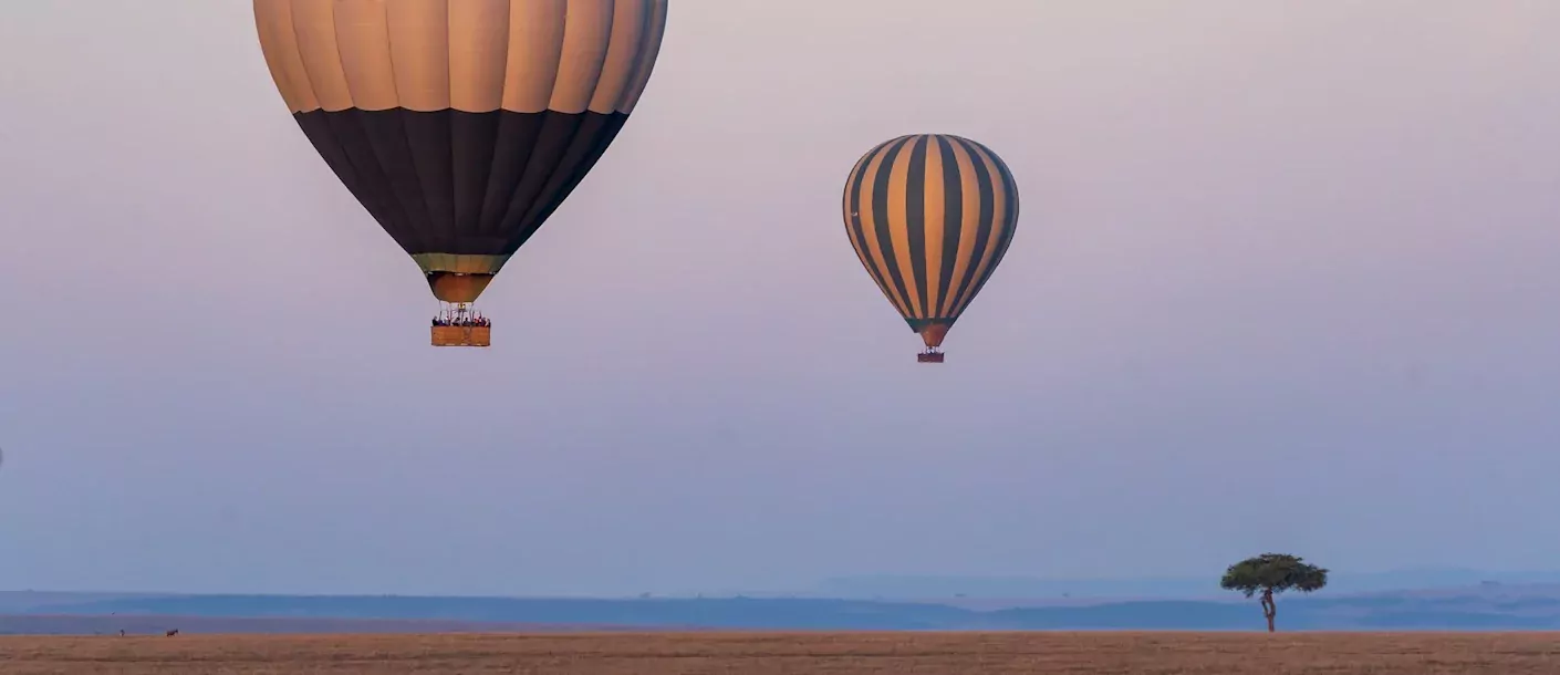 masai mara - ballonvaart.webp