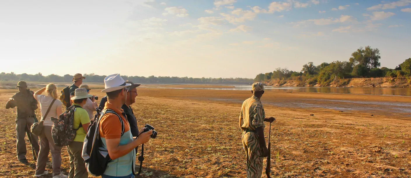 zambia south luangwa 002.webp