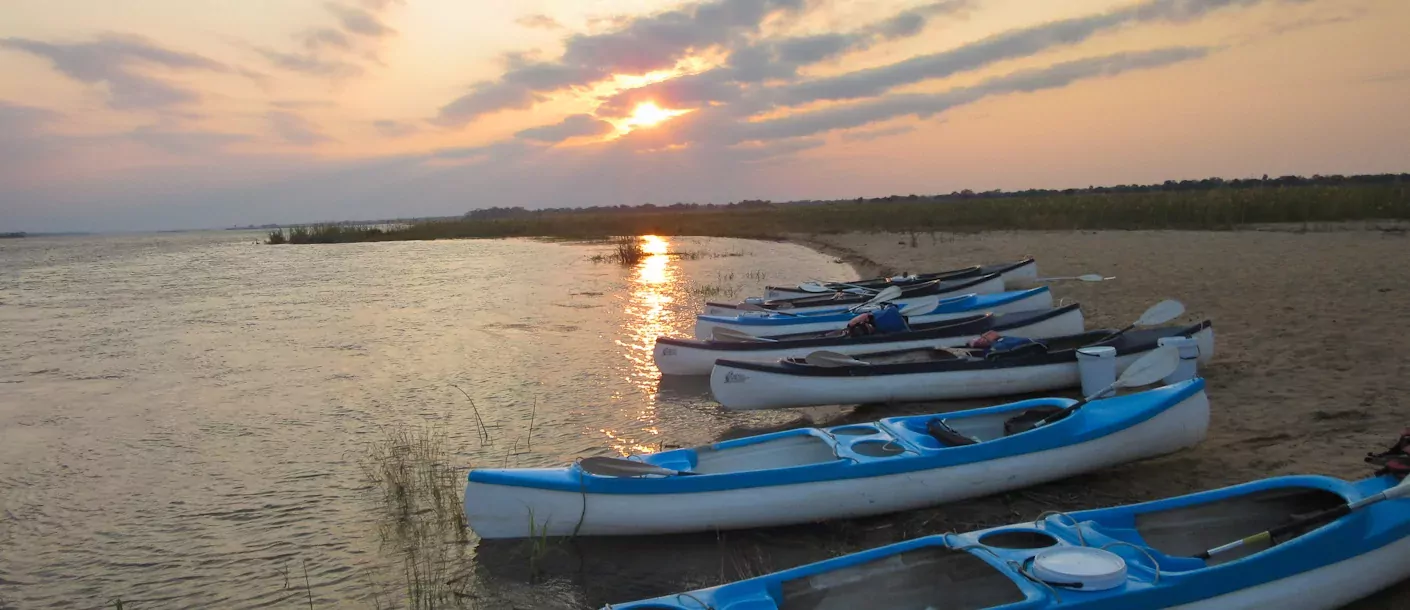 zambia lower zambezi kano.webp