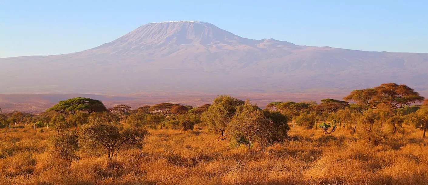 kilimanjaro.webp