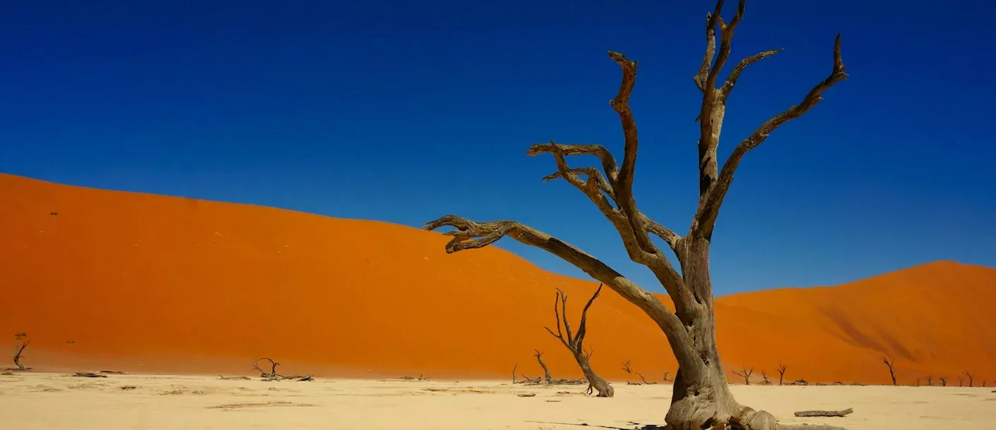 sossusvlei (6).webp