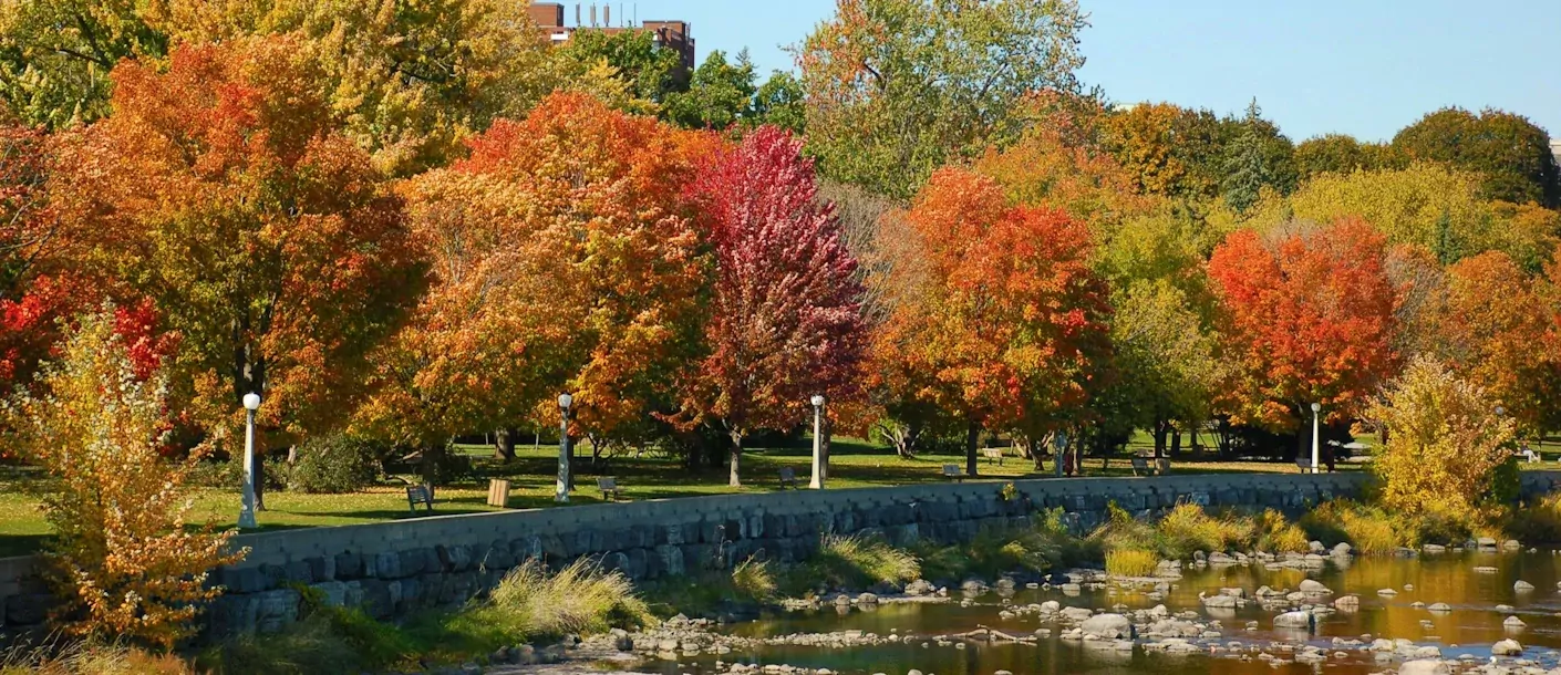 ottawa, on, canada.webp