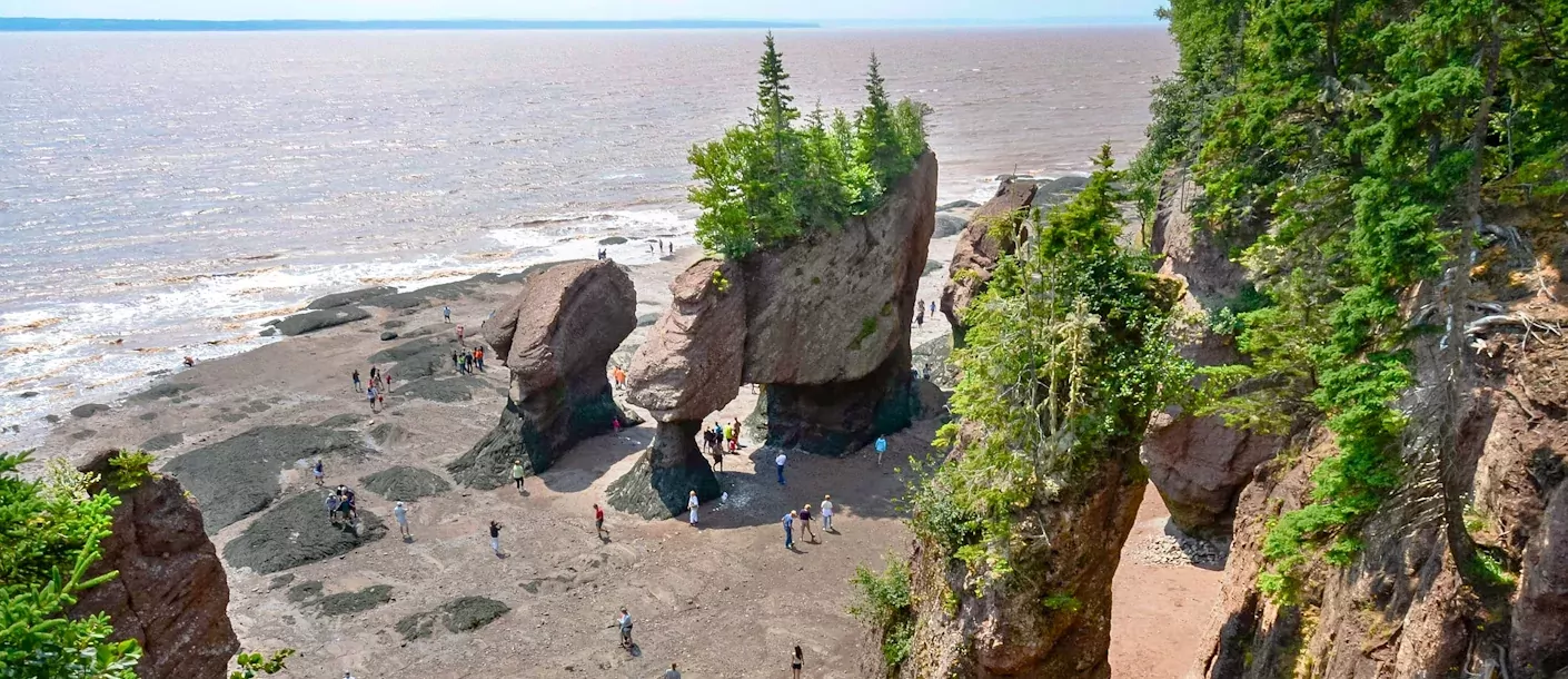 hopewell rocks.webp