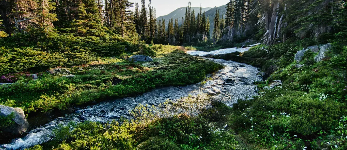olympic-national-park-2.webp