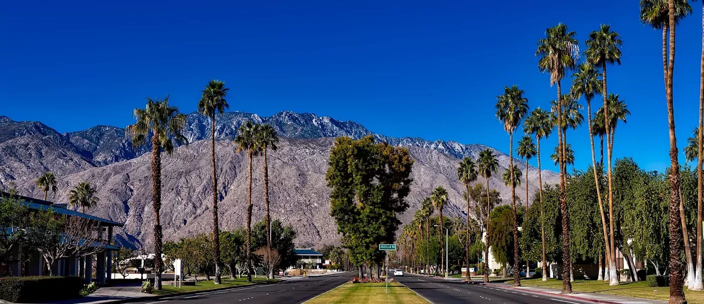 palm springs.webp