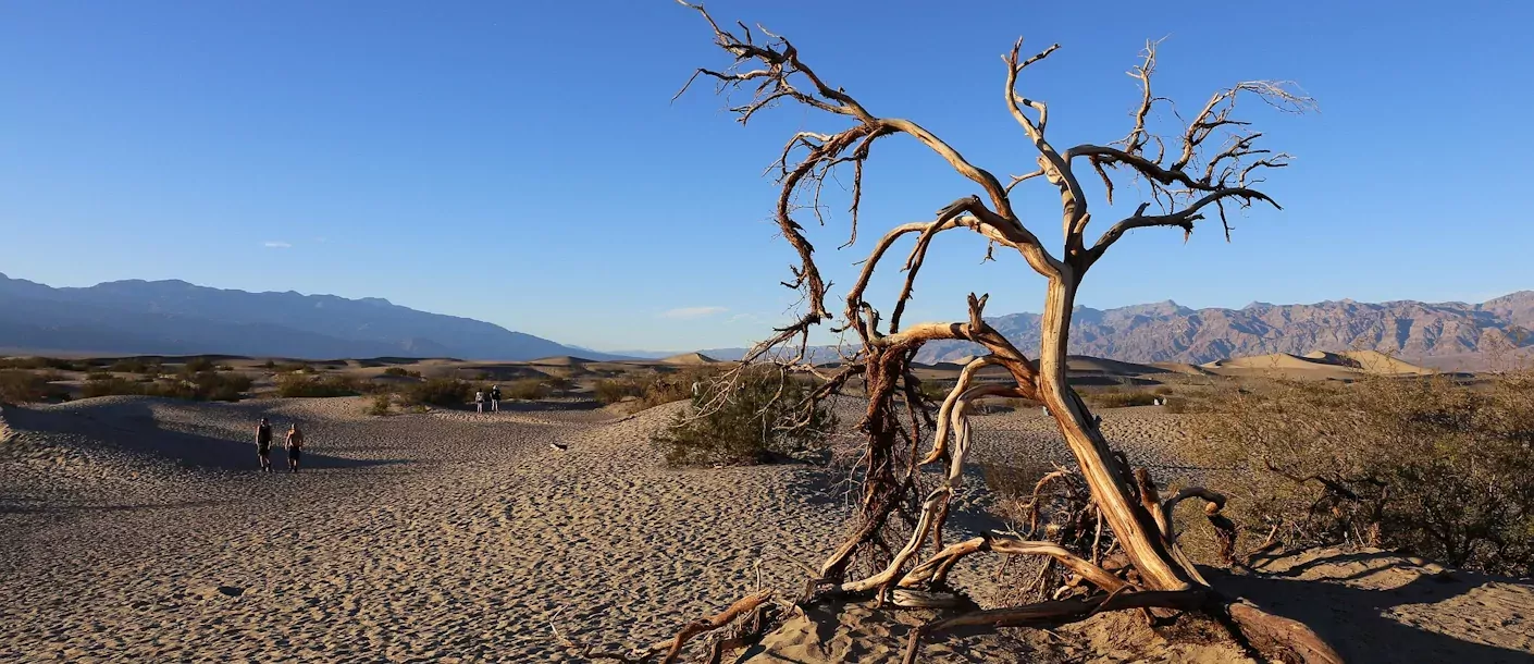 death valley national park.webp