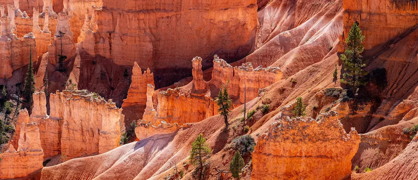 bryce canyon national park.webp