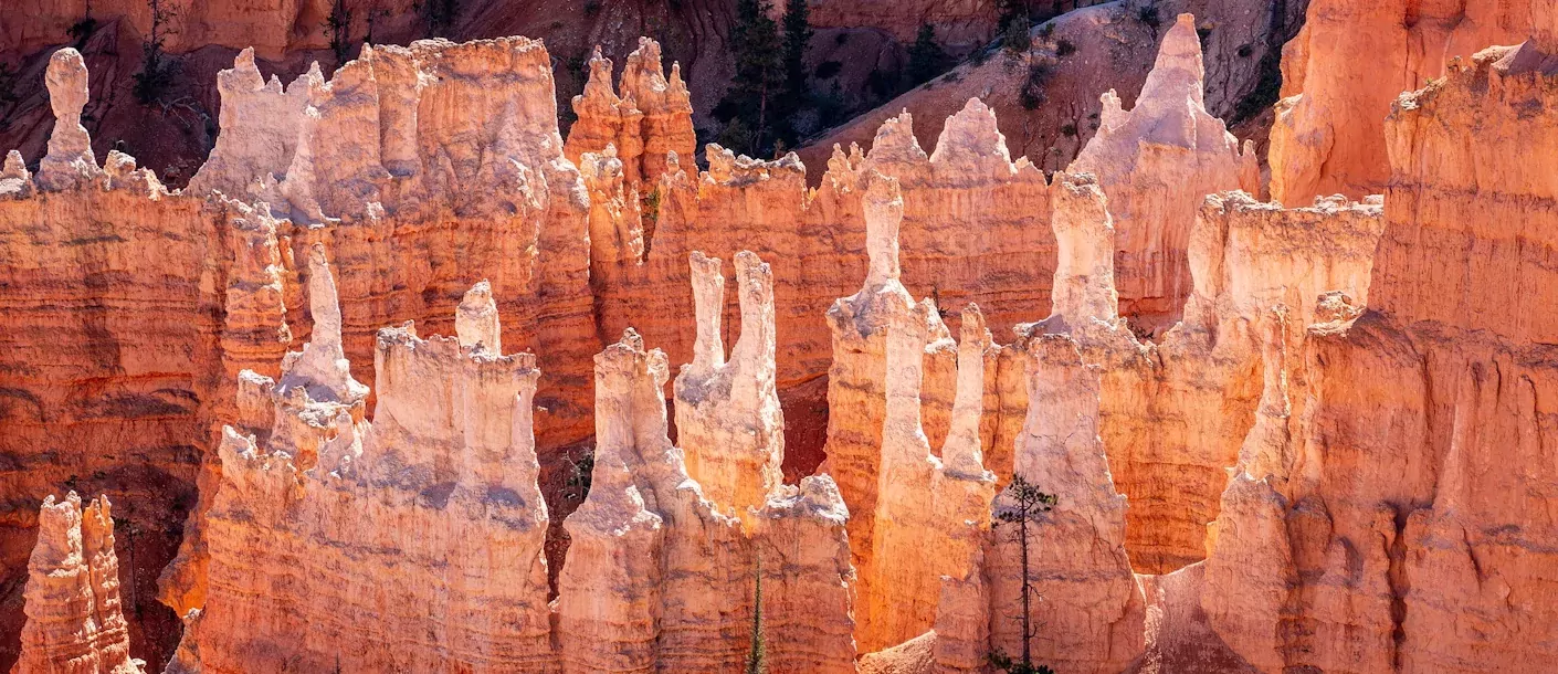bryce canyon national park.webp