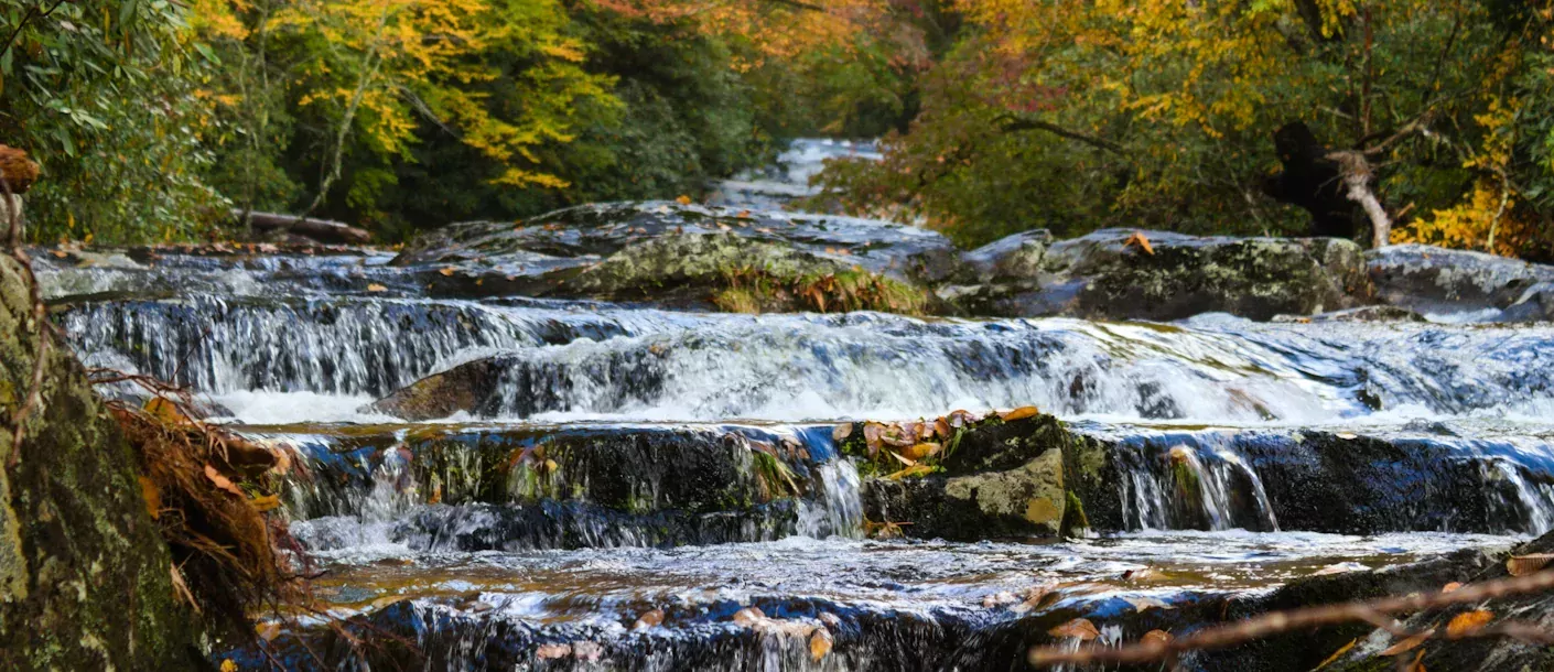 great smokey mountains.webp