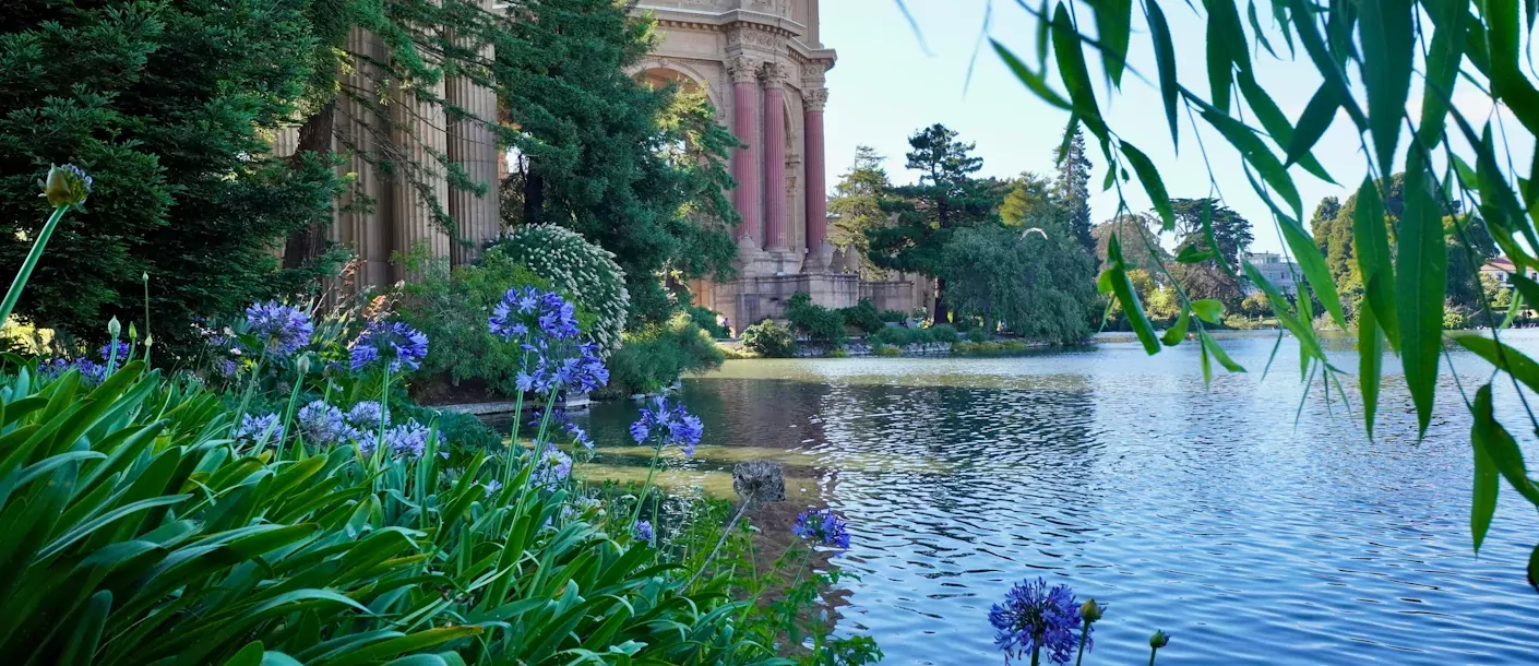 san francisco palace of fine arts.webp