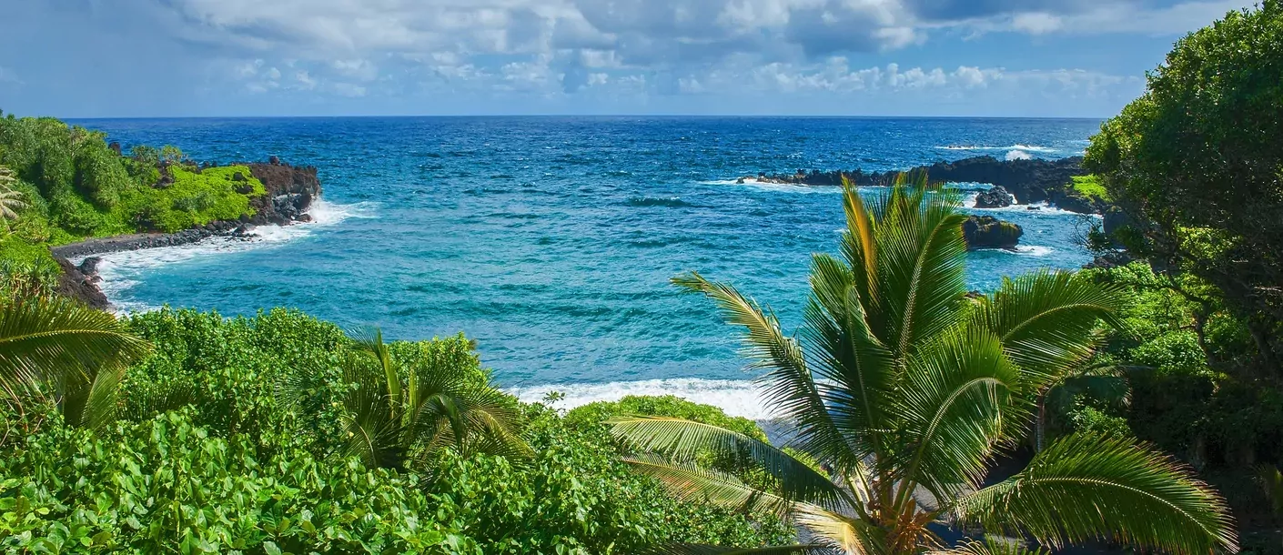 maui hawaii.webp